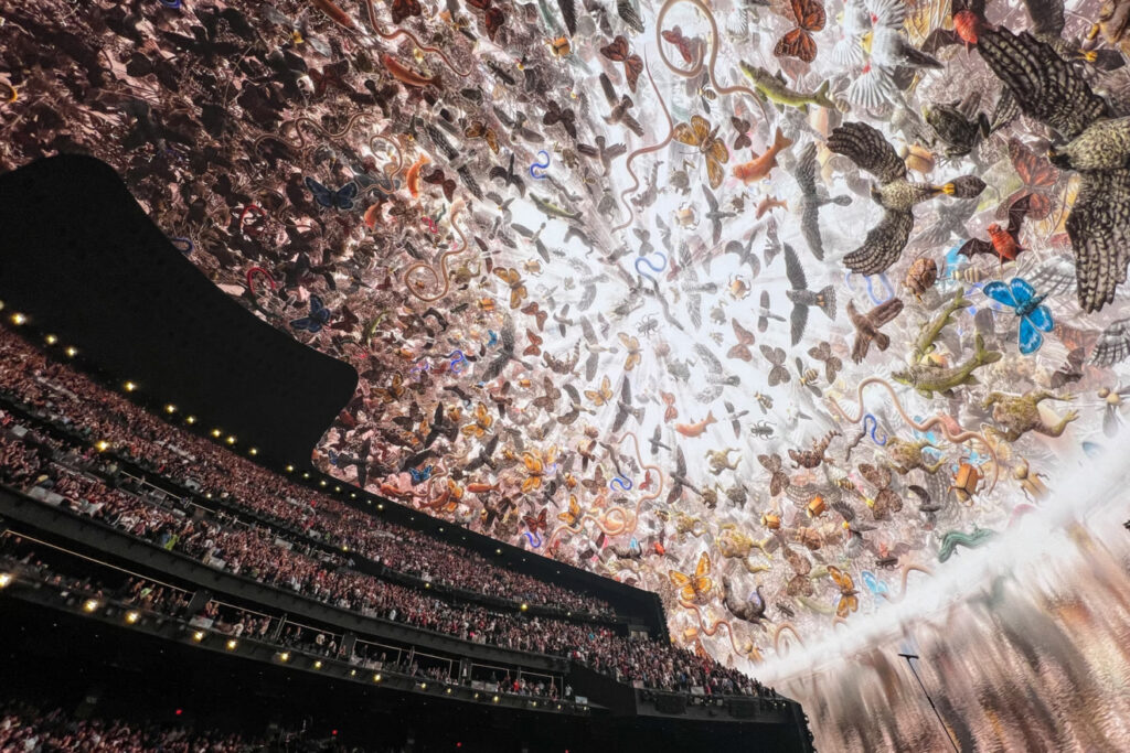 U2 1