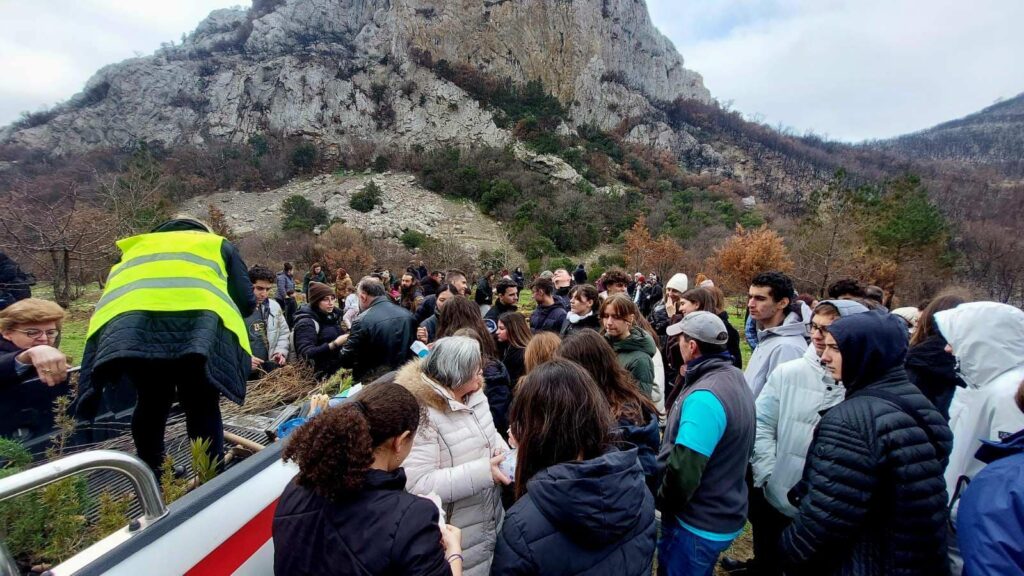 δενδροφύτευση