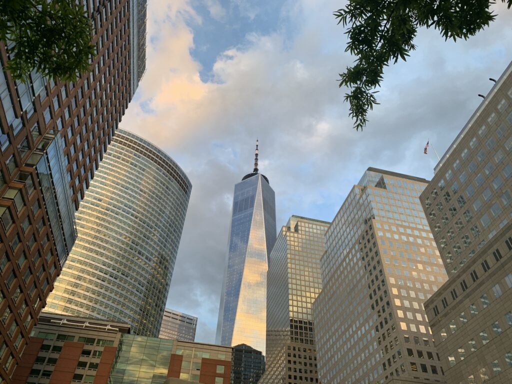 IMG 5750