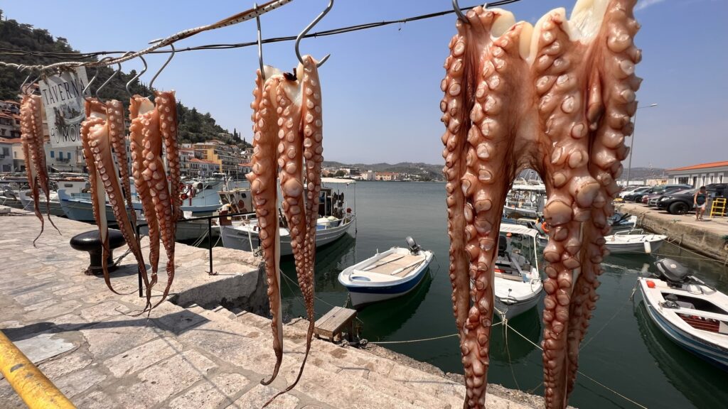 Ελληνικός Τουρισμός. Υπερτουρισμός ή υπερπληθυσμός; 1 IMG 1925