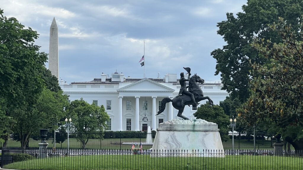 IMG 3723