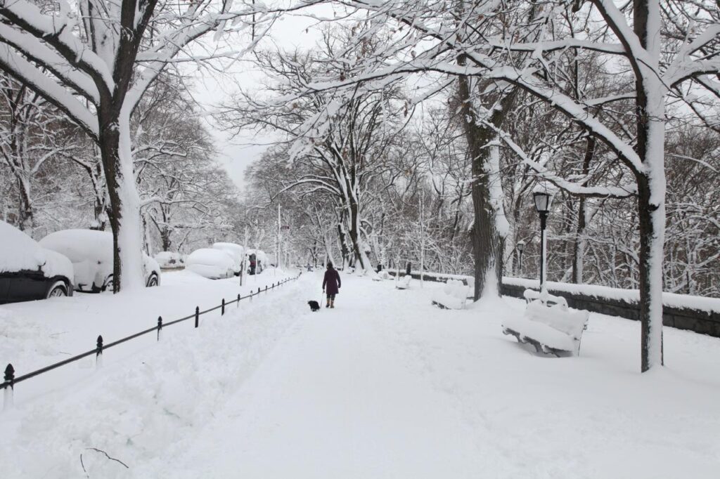 WhatsApp Image 2026 02 24 at 00.37.44